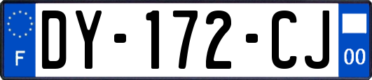 DY-172-CJ