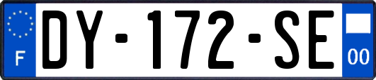 DY-172-SE