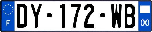 DY-172-WB