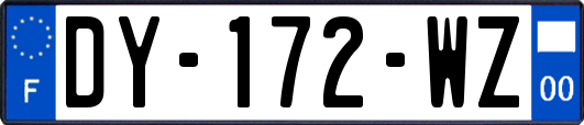 DY-172-WZ