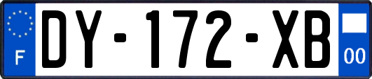 DY-172-XB