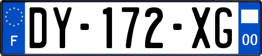 DY-172-XG