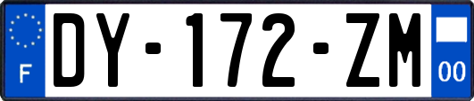 DY-172-ZM