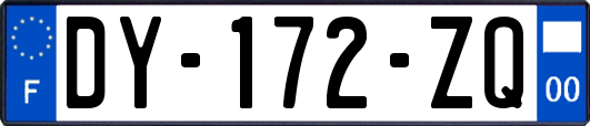 DY-172-ZQ