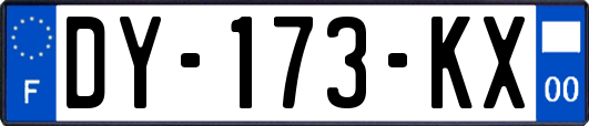 DY-173-KX