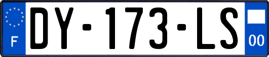 DY-173-LS