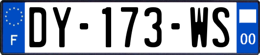 DY-173-WS