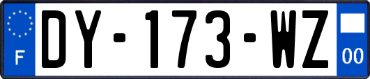 DY-173-WZ