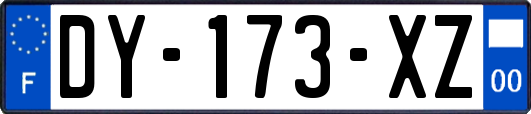 DY-173-XZ