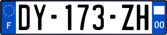 DY-173-ZH