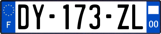 DY-173-ZL