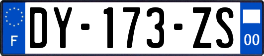 DY-173-ZS