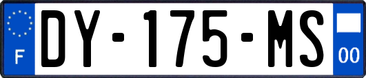 DY-175-MS