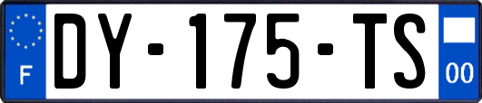 DY-175-TS