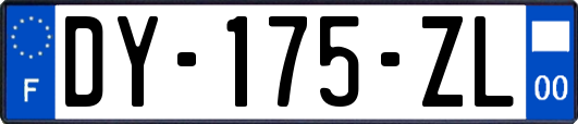 DY-175-ZL