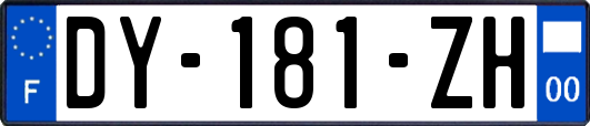 DY-181-ZH