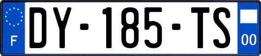 DY-185-TS