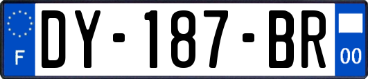 DY-187-BR