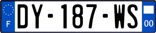 DY-187-WS