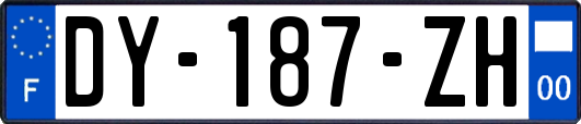 DY-187-ZH