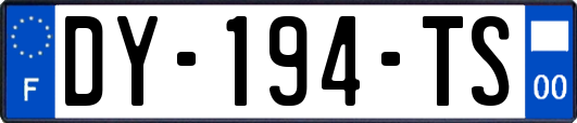 DY-194-TS