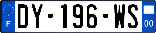 DY-196-WS