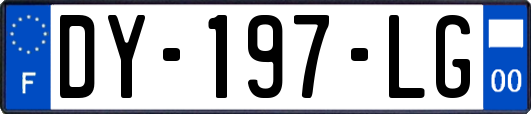 DY-197-LG