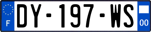 DY-197-WS