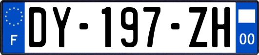 DY-197-ZH