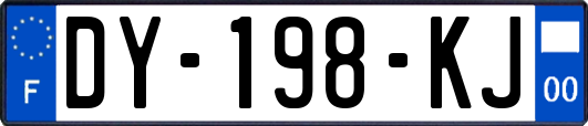 DY-198-KJ