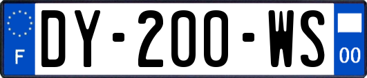 DY-200-WS