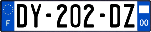 DY-202-DZ