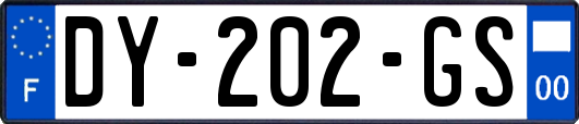 DY-202-GS