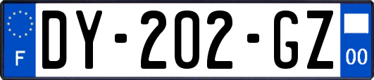 DY-202-GZ