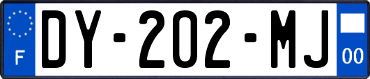 DY-202-MJ