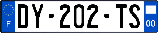 DY-202-TS