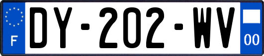 DY-202-WV