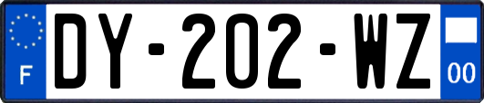 DY-202-WZ