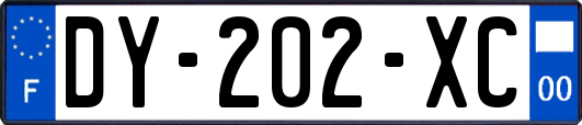 DY-202-XC