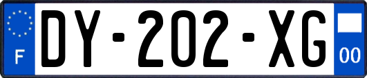 DY-202-XG