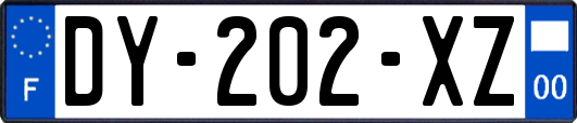 DY-202-XZ