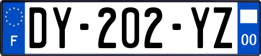 DY-202-YZ