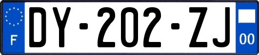 DY-202-ZJ