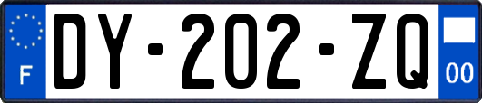 DY-202-ZQ