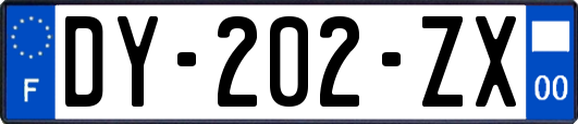 DY-202-ZX