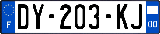 DY-203-KJ