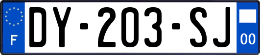 DY-203-SJ