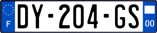 DY-204-GS