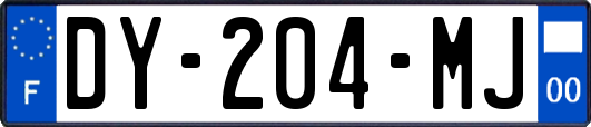 DY-204-MJ