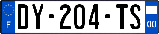 DY-204-TS